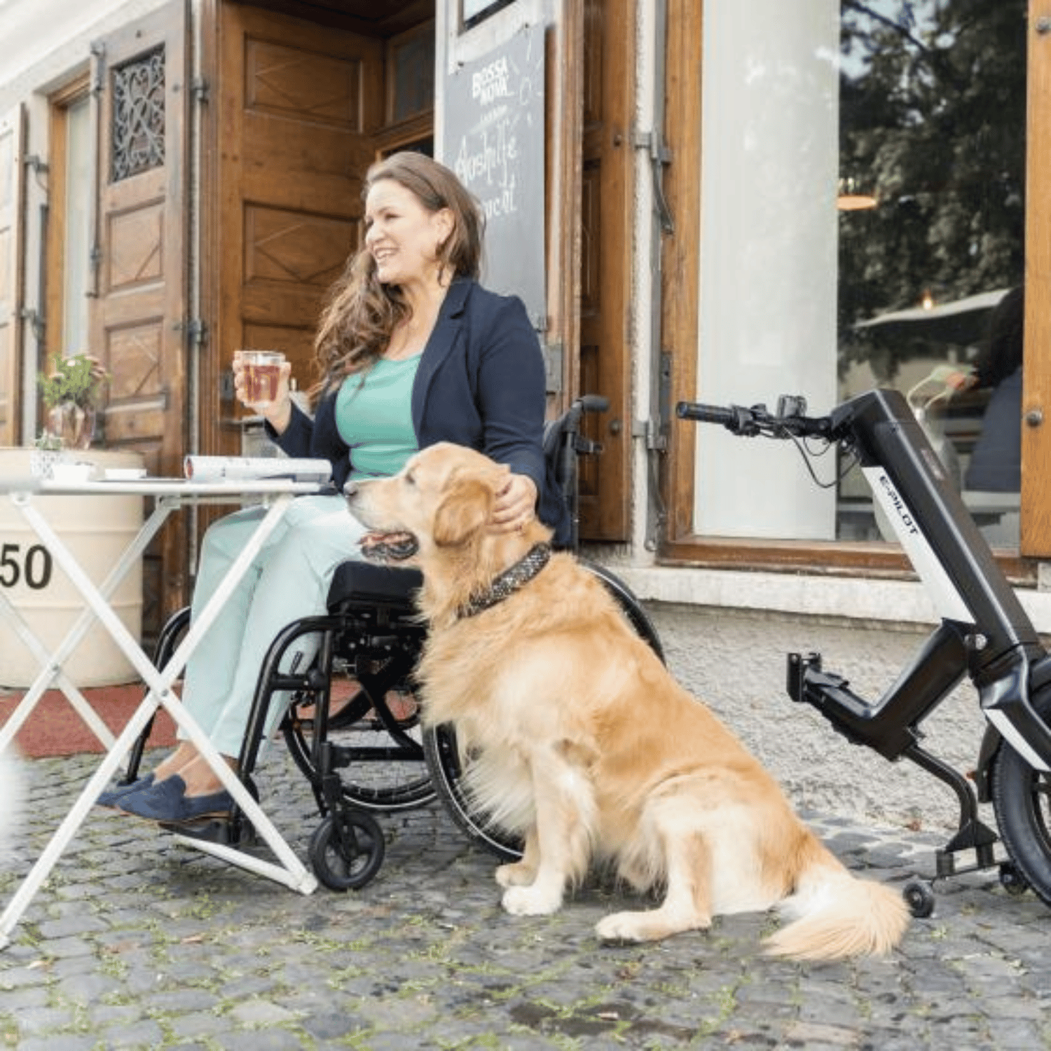 Alber E-Pilot Power Handbike