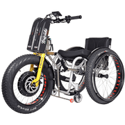 Triride T-Rocks Off Road Powered Add On