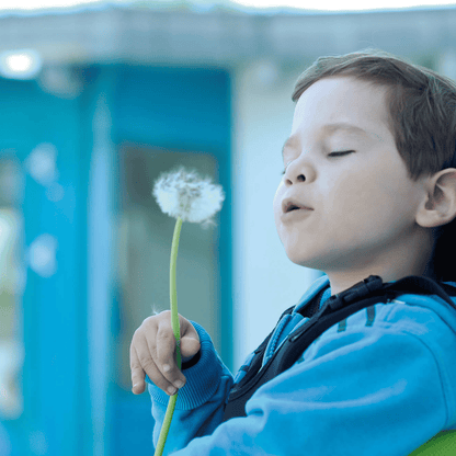 Zippie Rs Tilt In Space Wheelchair