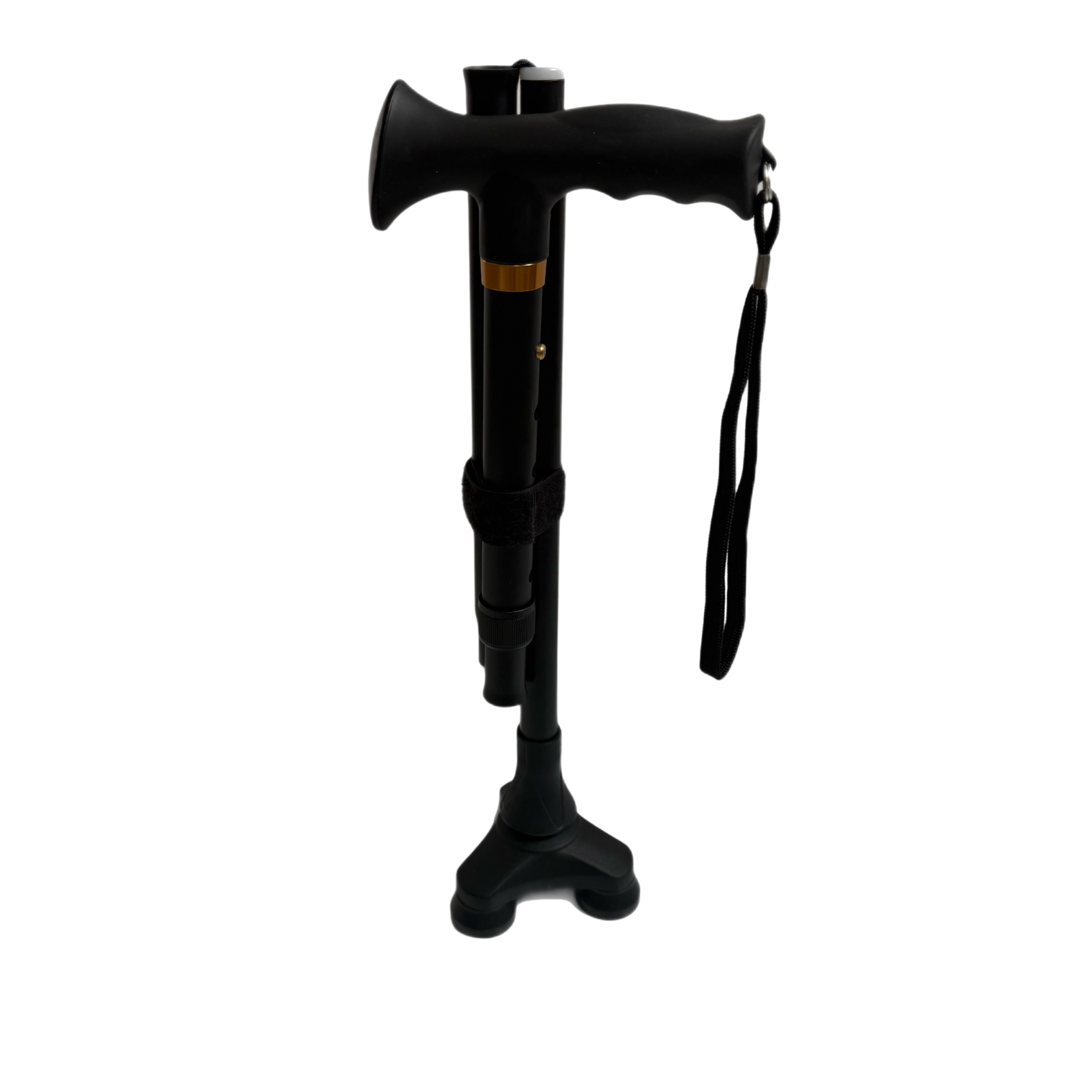 Walking Sticks